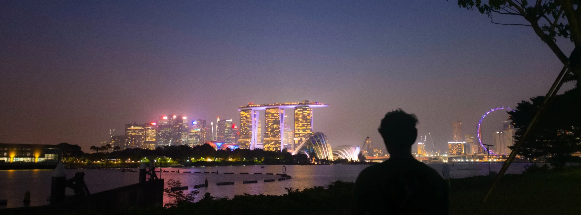 Silhouette against the Marina Bay skyline